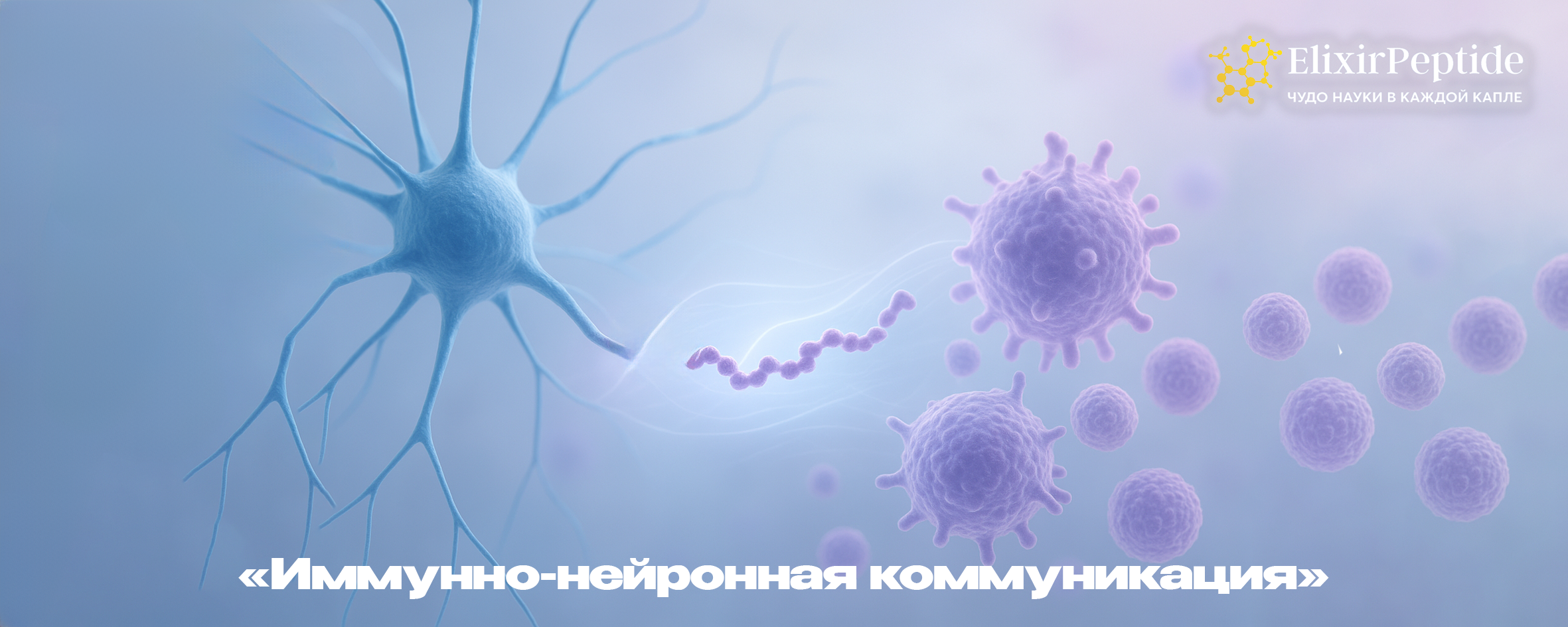 Иммунно-нейронная коммуникация